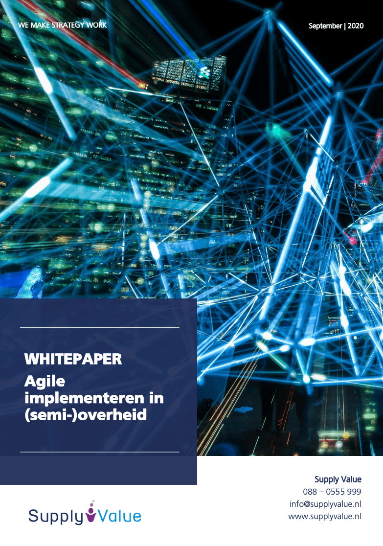 Whitepaper: Implementing Agile (semi-)government