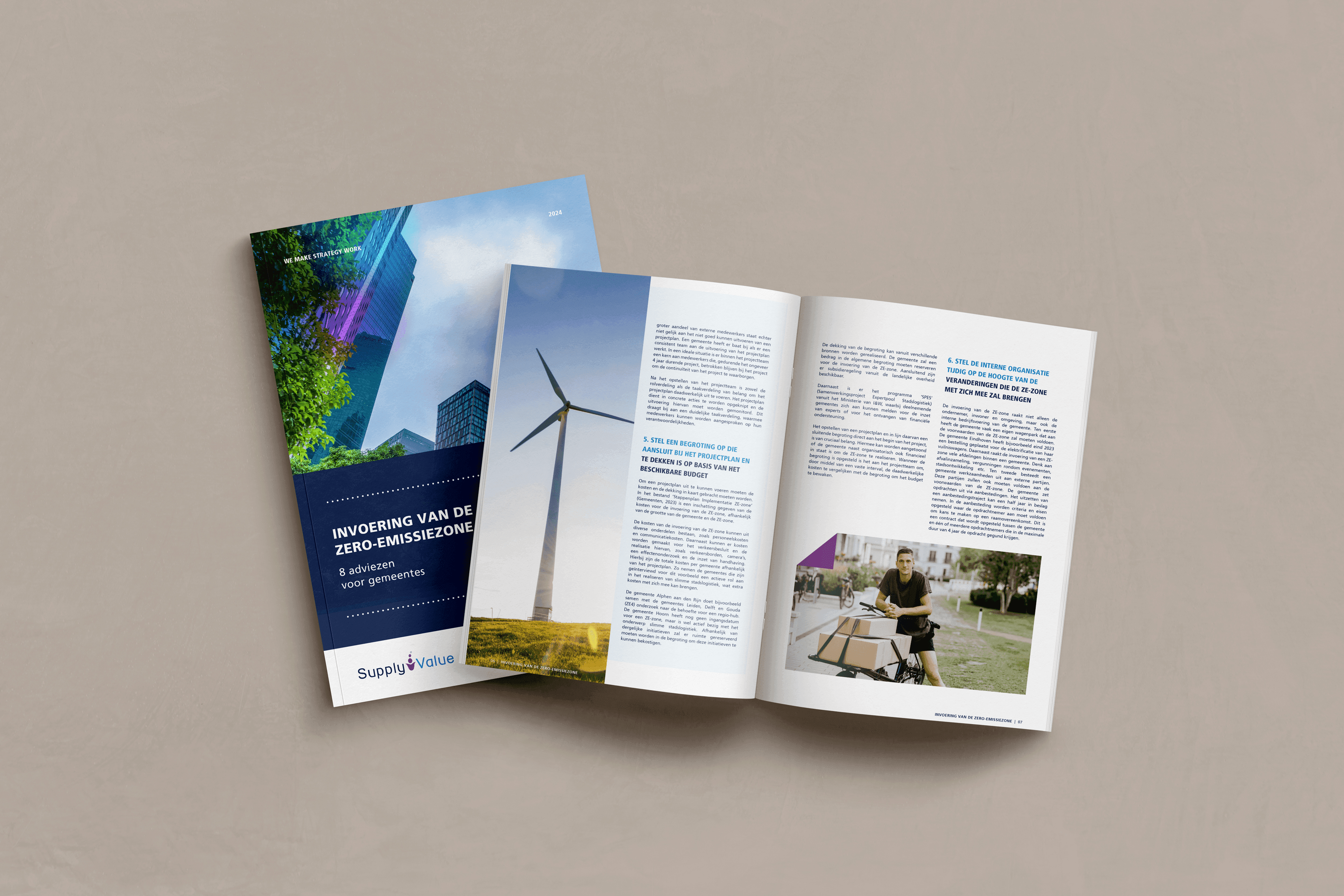 Whitepaper: Implementation of the zero-emission zone