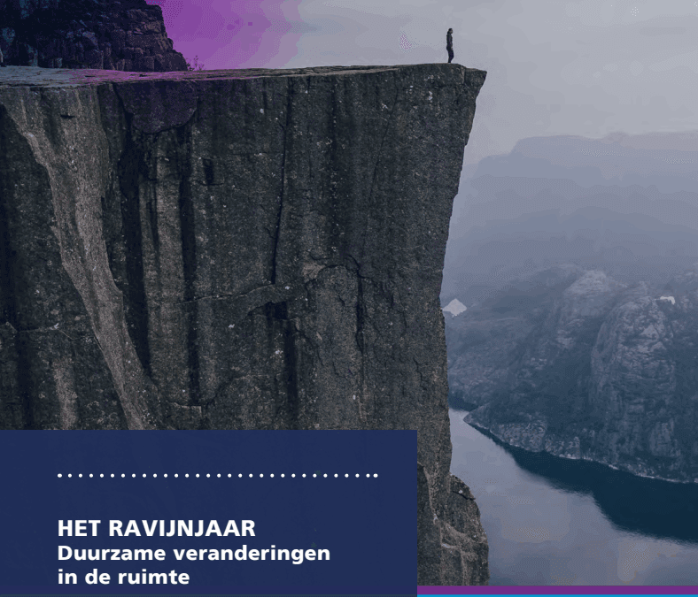 Whitepaper: Het Canyon Jaar - Duurzame veranderingen in het ruimtelijk domein