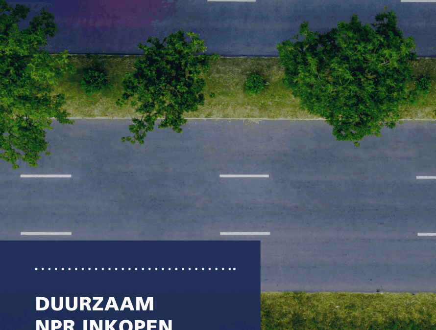 Whitepaper: Sustainable Non-Product Related (NPR) Procurement